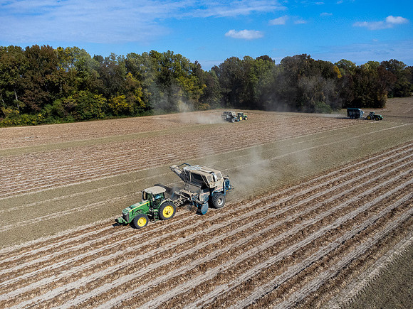 Wilson NC Peanut Harvest-0134