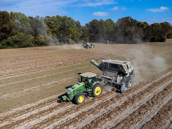 Wilson NC Peanut Harvest-0131