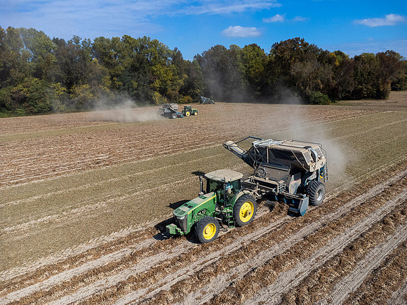 Wilson NC Peanut Harvest-0128