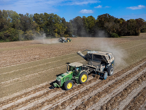 Wilson NC Peanut Harvest-0129