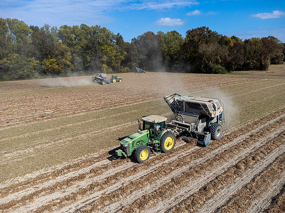 Wilson NC Peanut Harvest-0127