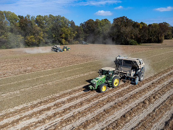 Wilson NC Peanut Harvest-0125