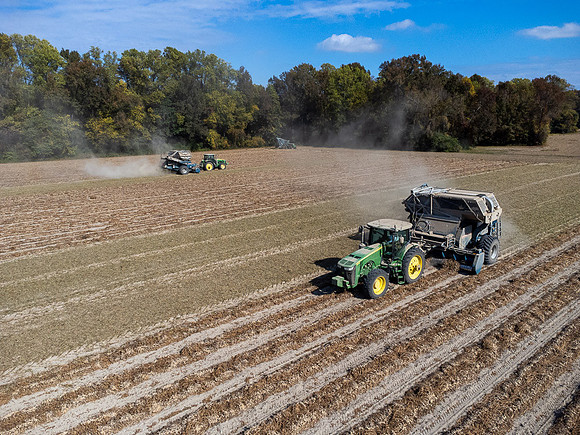 Wilson NC Peanut Harvest-0123