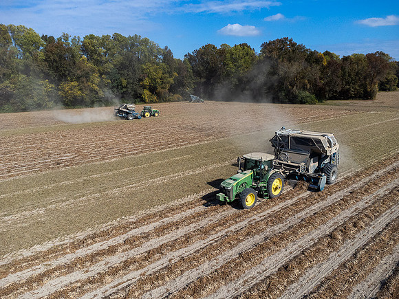 Wilson NC Peanut Harvest-0124