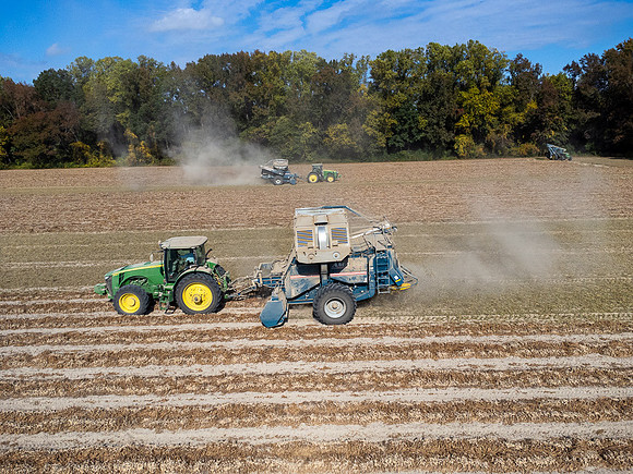 Wilson NC Peanut Harvest-0121