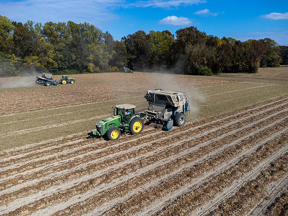 Wilson NC Peanut Harvest-0122