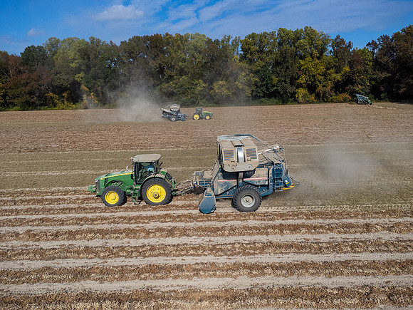 Wilson NC Peanut Harvest-0120