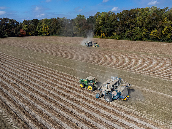 Wilson NC Peanut Harvest-0115