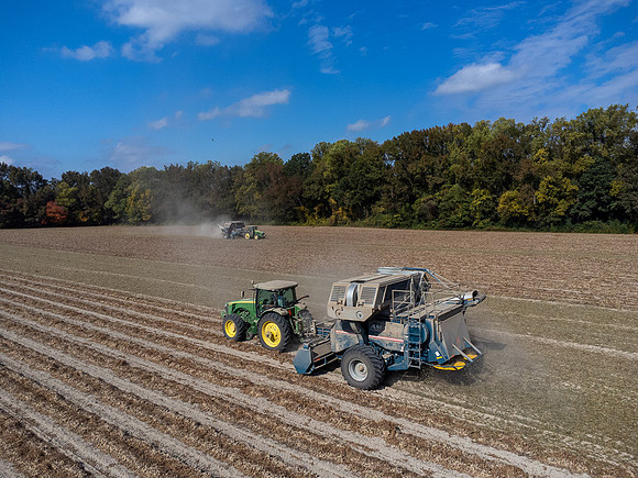 Wilson NC Peanut Harvest-0111