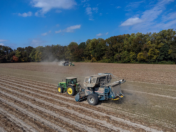 Wilson NC Peanut Harvest-0112