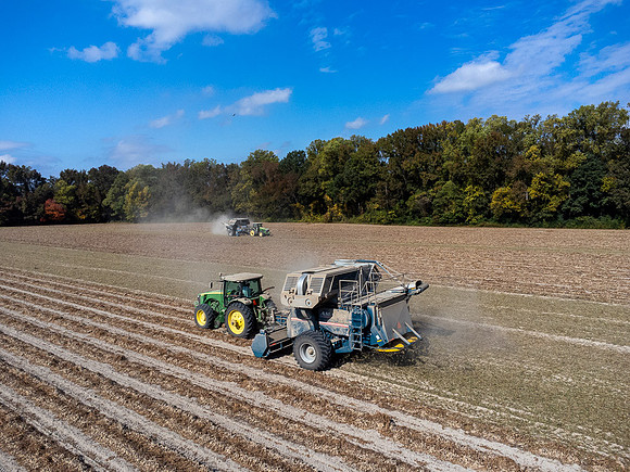 Wilson NC Peanut Harvest-0113