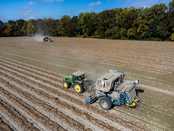 Wilson NC Peanut Harvest-0107