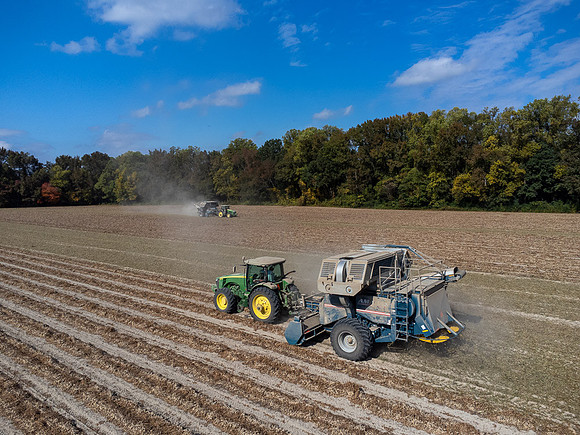 Wilson NC Peanut Harvest-0110