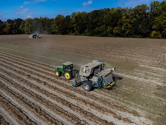Wilson NC Peanut Harvest-0106