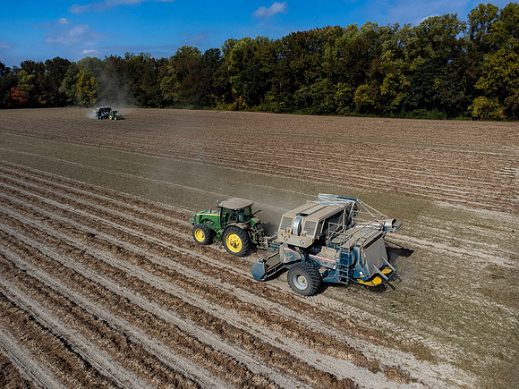 Wilson NC Peanut Harvest-0104