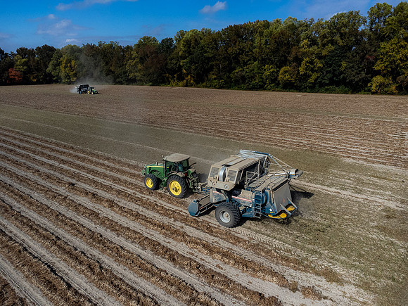 Wilson NC Peanut Harvest-0105
