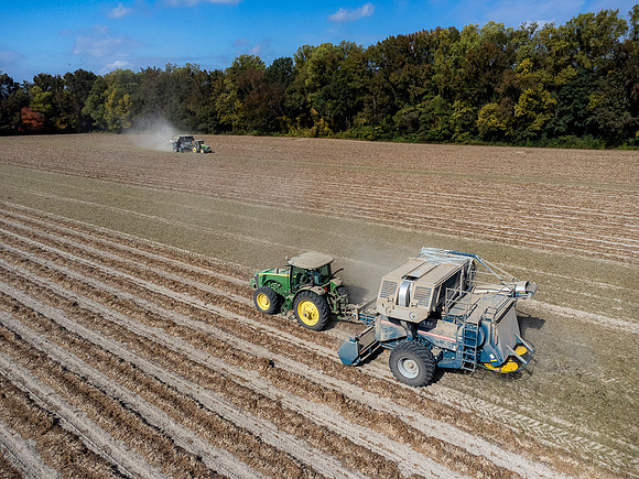 Wilson NC Peanut Harvest-0108