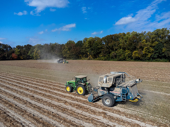 Wilson NC Peanut Harvest-0109