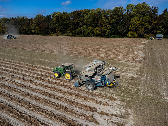 Wilson NC Peanut Harvest-0103