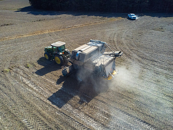 Wilson NC Peanut Harvest-0101