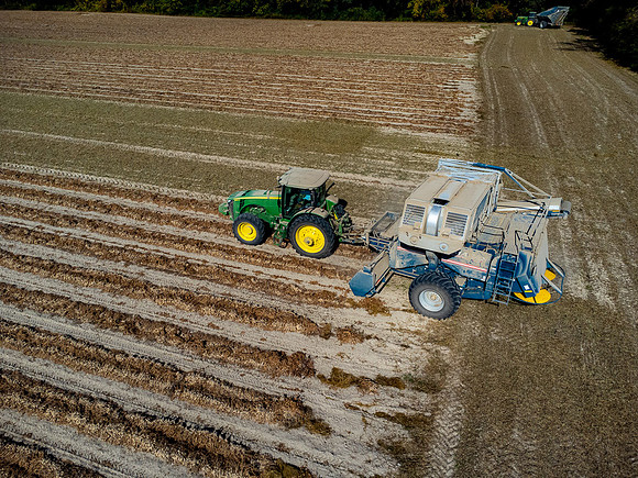 Wilson NC Peanut Harvest-0102