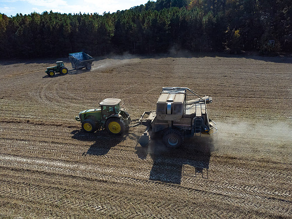 Wilson NC Peanut Harvest-0097