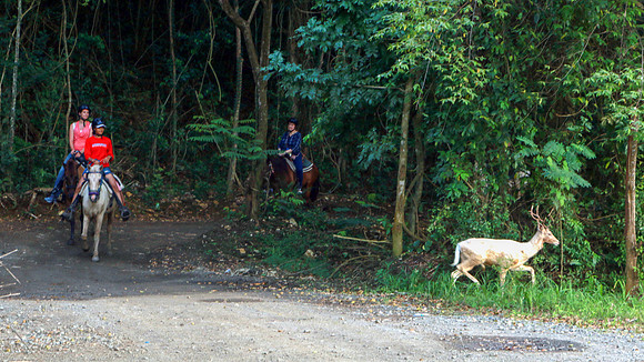 20 ATV & Horseback-2628