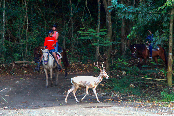 20 ATV & Horseback-2627