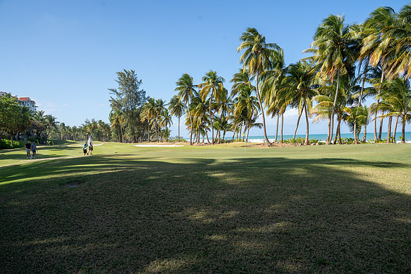 17 Golf Happy Snaps-100777